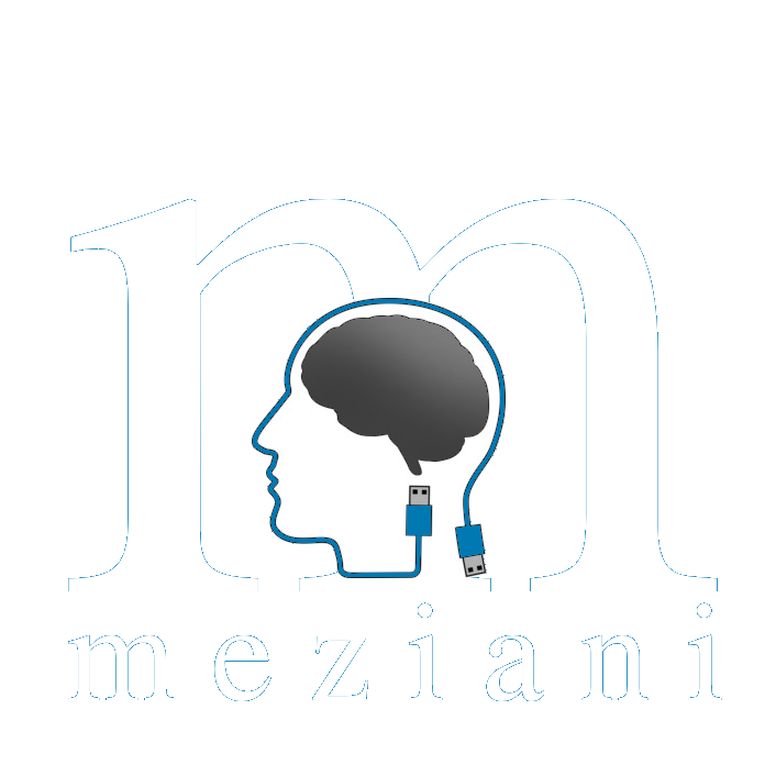 logo meziani 2mn.info 